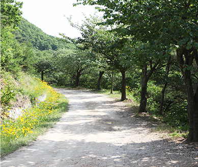 7경 삼길산아라메길